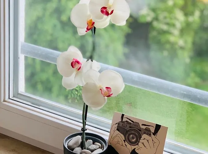 Munchen Апартаменты